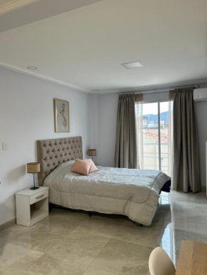 Apart Soler